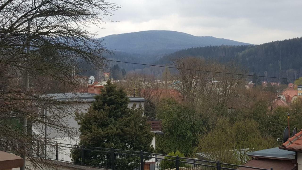 Apartament Z Widokiem-Blizej Zdroju Polanica-Zdroj Bagian luar foto